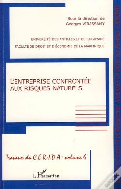 Capa do artigo Travaux Du C.E.R.J.D.A T.6 ; L'Entreprise Confrontée Aux Risques Naturels