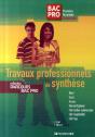 Travaux Professionnels De Synthèse - Preview