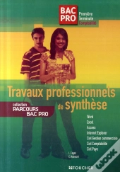 Travaux Professionnels De Synthèse