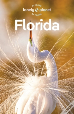 Capa do artigo Travel Guide Florida