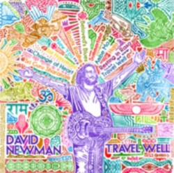 Capa do artigo Travel Well - CD