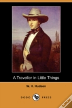 Capa do artigo Traveller In Little Things (Dodo Press)
