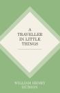 Traveller In Little Things - Preview