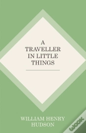 Capa do artigo Traveller In Little Things