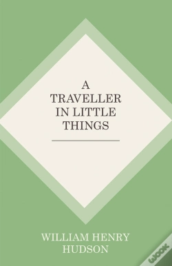 Capa do artigo Traveller In Little Things