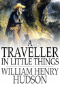 Traveller In Little Things - Preview