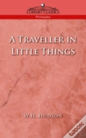 Capa do artigo Traveller In Little Things