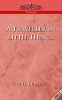 Capa do artigo Traveller In Little Things