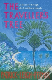 Capa do artigo Traveller
