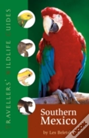 Capa do artigo Traveller