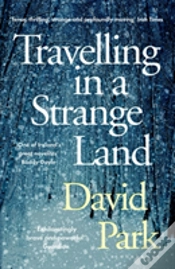 Capa do artigo Travelling In A Strange Land