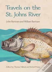 Capa do artigo Travels On The St. Johns River