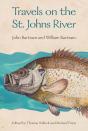 Travels On The St. Johns River - Preview