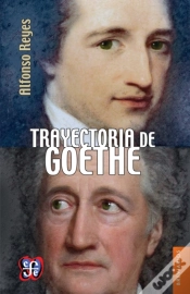 Capa do artigo Trayectoria De Goethe