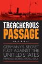Treacherous Passage - Preview