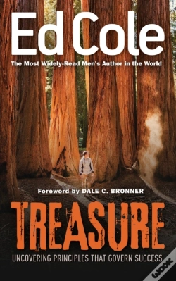 Capa do artigo Treasure