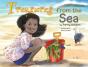 Treasures From The Sea - Preview