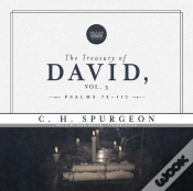 Capa do artigo Treasury Of David, Vol. 3