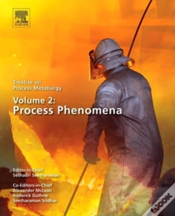 Capa do artigo Treatise On Process Metallurgy