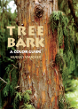 Tree Bark - Preview