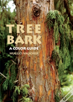 Capa do artigo Tree Bark