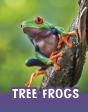Tree Frogs - Preview