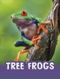 Tree Frogs - Preview