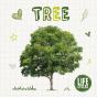 Tree - Preview