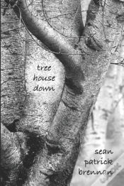 Capa do artigo Tree House Down