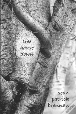 Capa do artigo Tree House Down