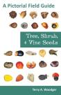 Tree, Shrub, And Vine Seeds - Preview