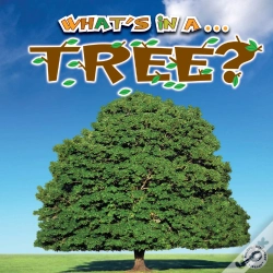 Capa do artigo Tree?