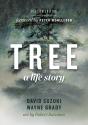 Tree - Preview