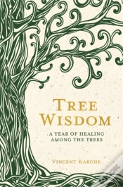 Capa do artigo Tree Wisdom
