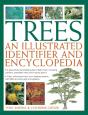 Trees: An Illustrated Identifier And Encyclopedia - Preview
