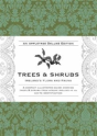 Trees And Shrubs - Preview