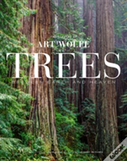Capa do artigo Trees