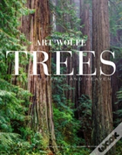 Capa do artigo Trees