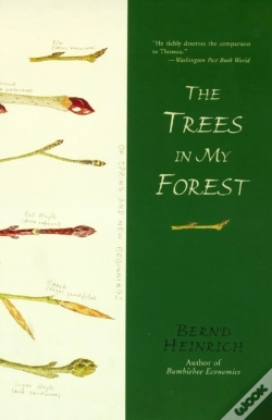 Capa do artigo Trees In My Forest