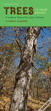 Capa do artigo Trees In Your Pocket