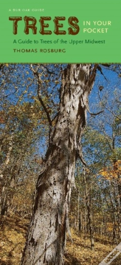 Capa do artigo Trees In Your Pocket