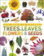 Trees, Leaves, Flowers & Seeds - Preview