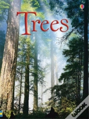 Capa do artigo Trees