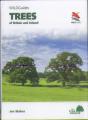 Trees Of Britain And Ireland - Preview