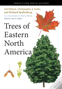 Capa do artigo Trees Of Eastern North America