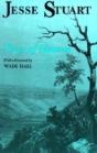Trees Of Heaven - Preview