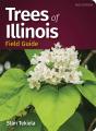 Trees Of Illinois Field Guide - Preview