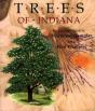 Trees Of Indiana - Preview