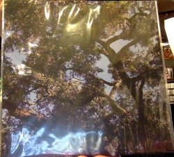 Capa do artigo Trees - Vinil
