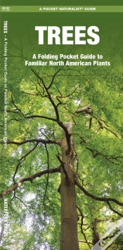 Capa do artigo Trees